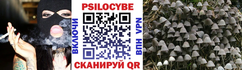 Псилоцибиновые грибы прущие грибы  Белая Калитва 